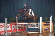 hengstenkeuring 2007