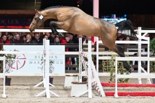Airforce vd heffinck freejumping