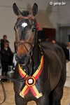 Reserve champion BWP approval 2013